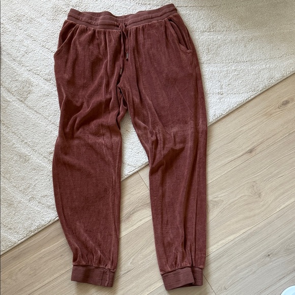Young Fabulous & Broke Pants - Young Fabulous & Broke Rust Terry Velour Jogger Pants